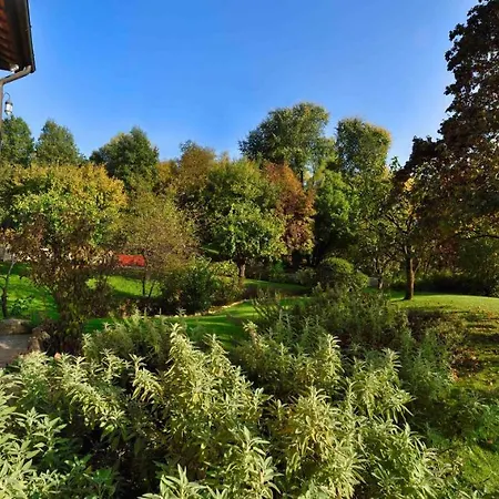 Bed & Breakfast Via Rive 24 Castelcucco